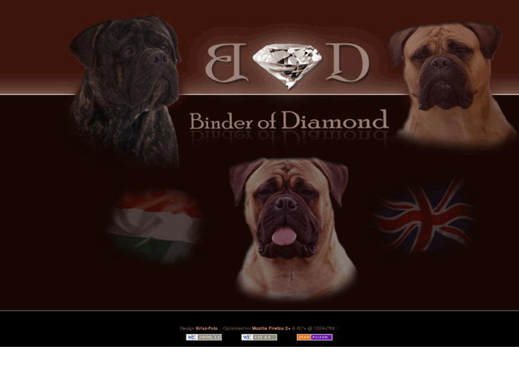 www.binderofdiamond.com