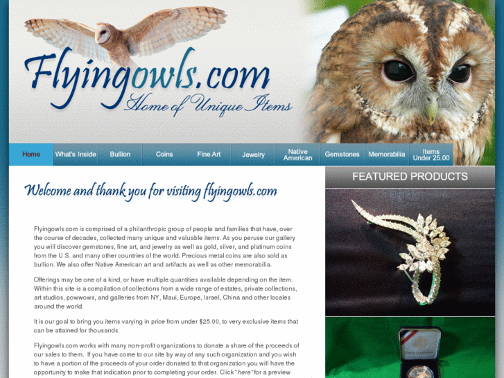 www.flyingowls.com