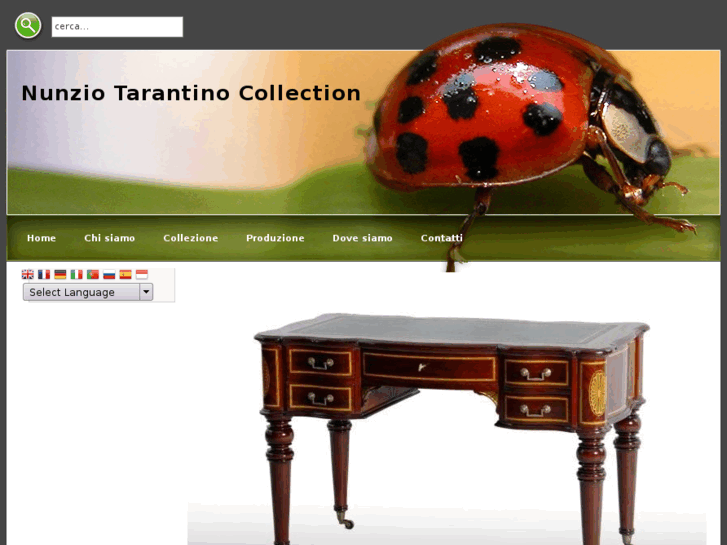 www.nunziotarantinocollection.com