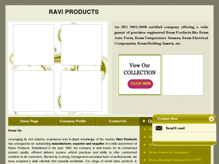 www.raviproducts.com