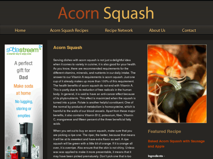 www.acornsquash.net