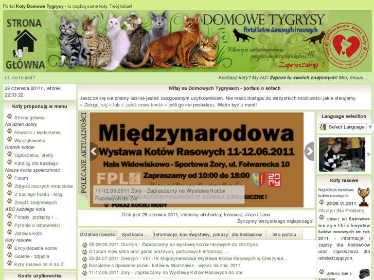 www.domowe-tygrysy.info