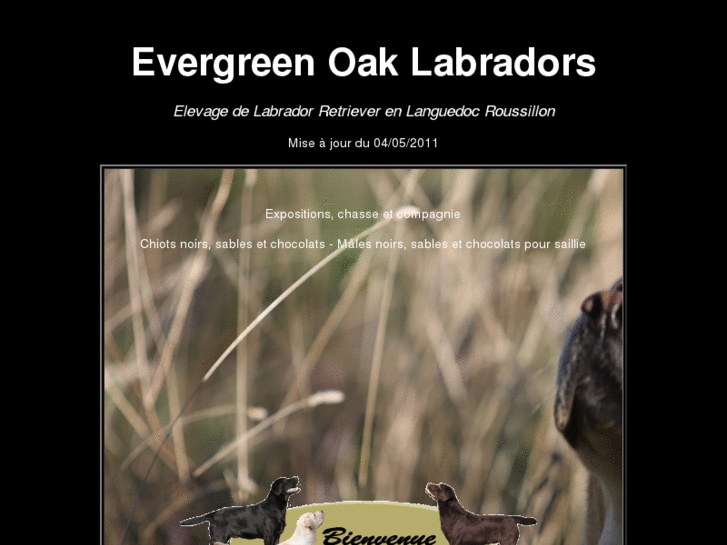 www.evergreen-oak.com