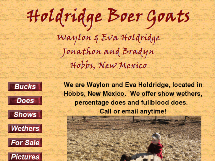 www.holdridgeboergoats.com