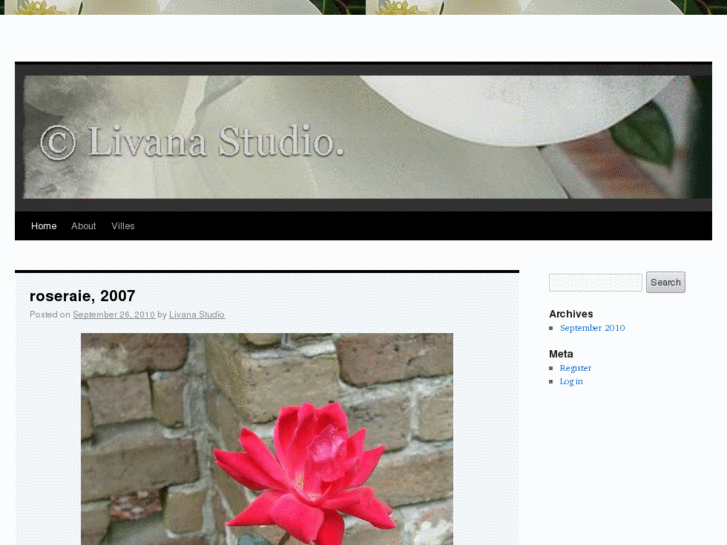 www.livanastudio.com