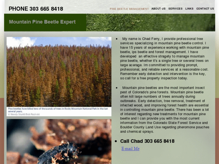 www.mountainpinebeetleexpert.com