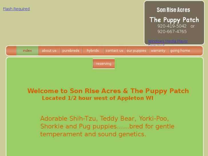 www.puppy-patch.net