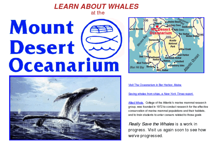 www.reallysavethewhales.com