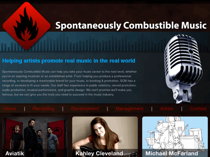 www.spontaneouslycombustible.com