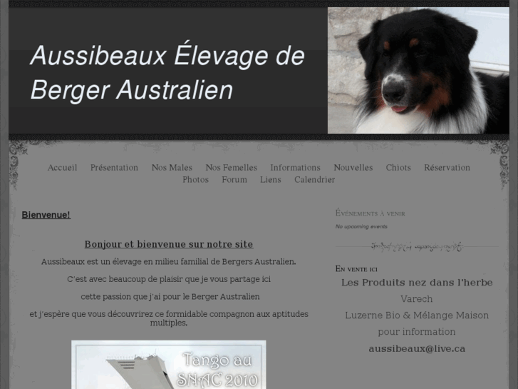 www.aussibeaux.com