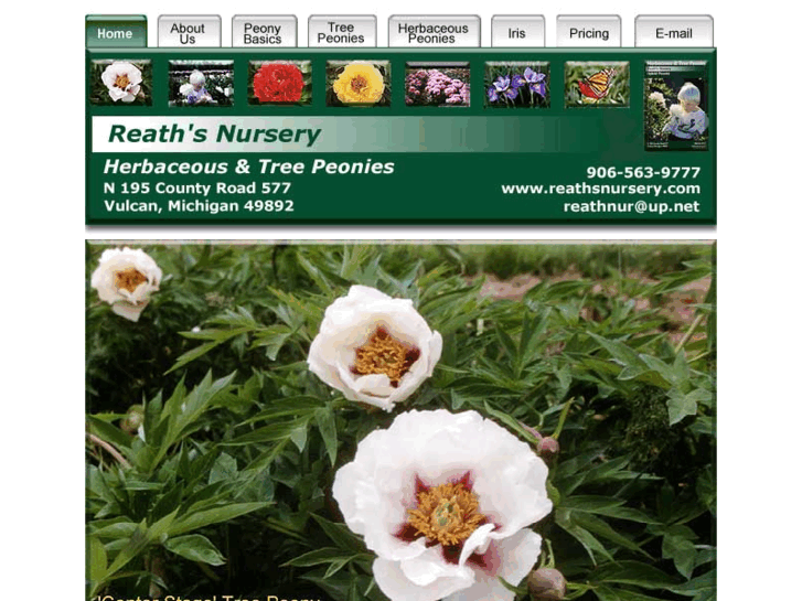 www.reathsnursery.com