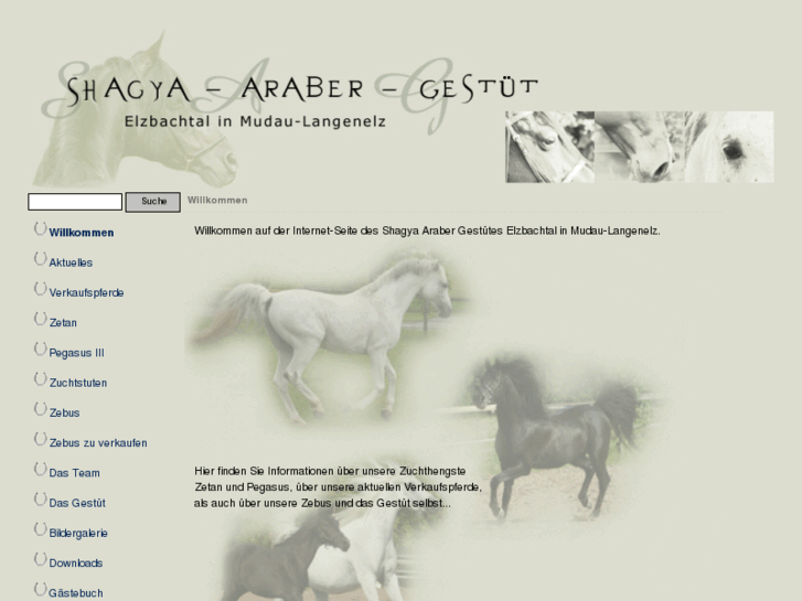www.zetan-pegasus.de