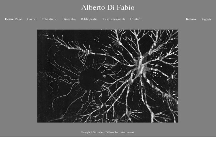 www.albertodifabio.com