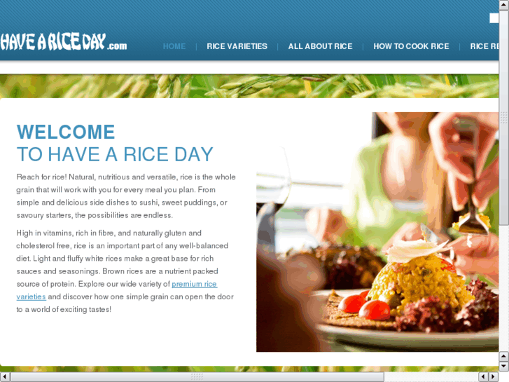 www.haveariceday.com