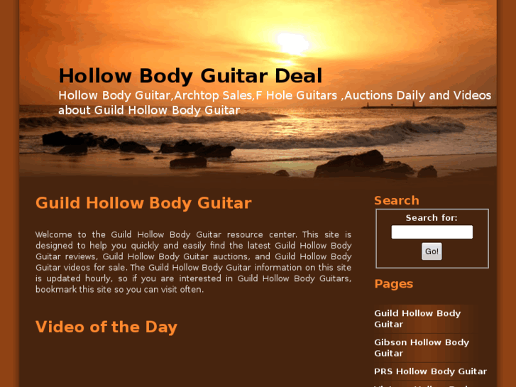 www.hollow-body-guitar.com