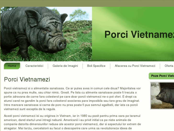 www.porci-vietnamezi.net