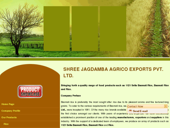 www.shreejagdambaexports.com