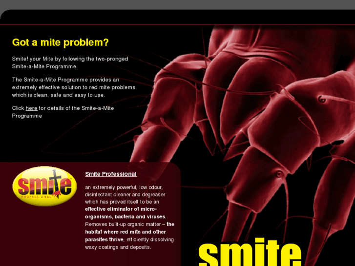 www.smite-a-mite.com