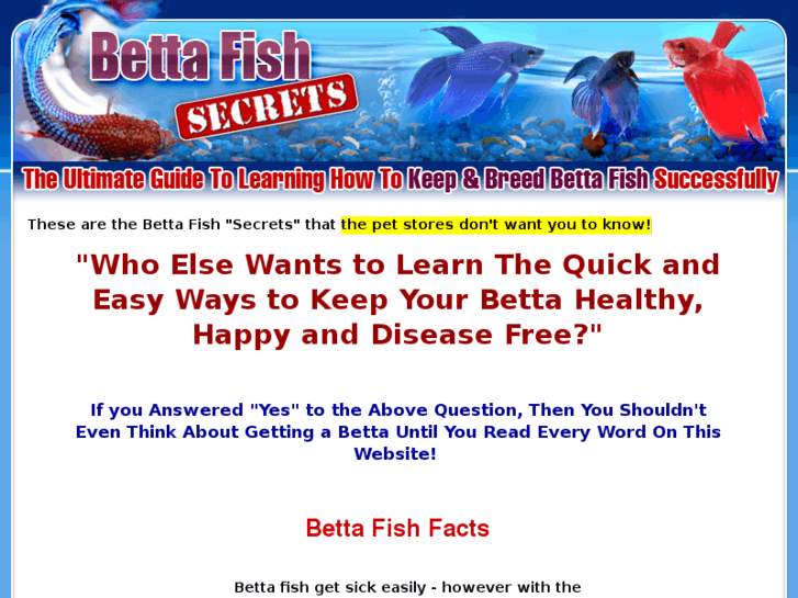 www.betta-fish-expert.com