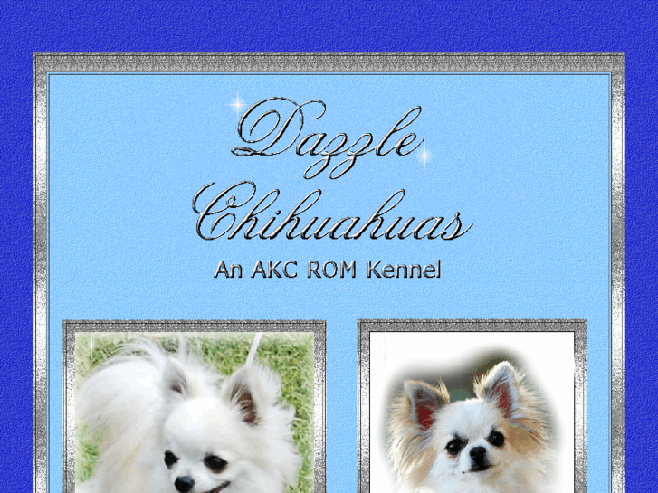 www.dazzlechihuahuas.com