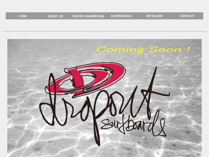 www.dropoutsurfboard.com