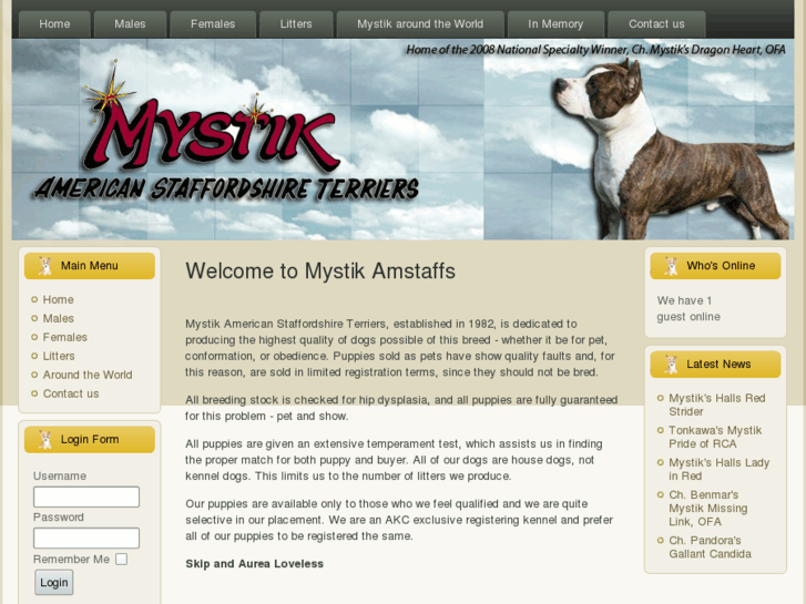 www.mystikamstaffs.com