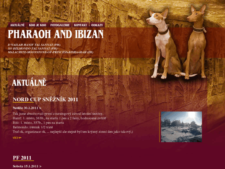 www.pharaoh-and-ibizan.com