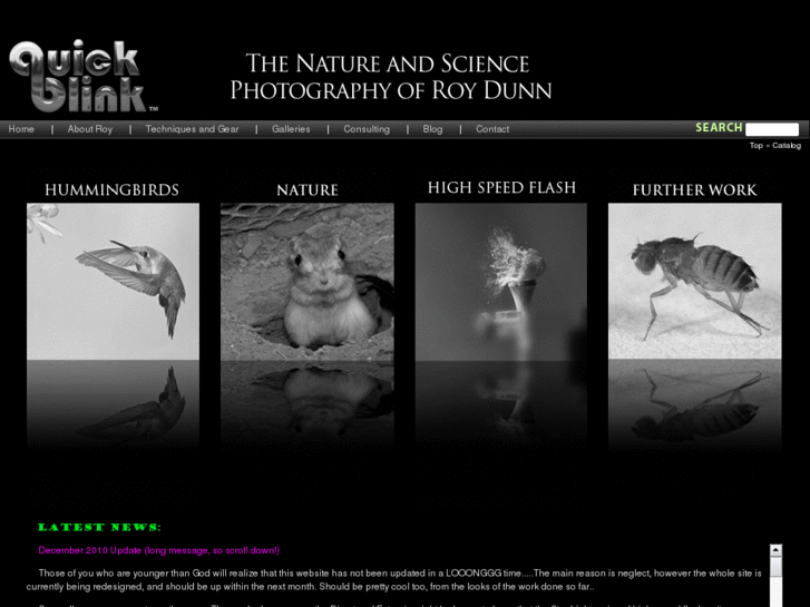 www.quickblink.com