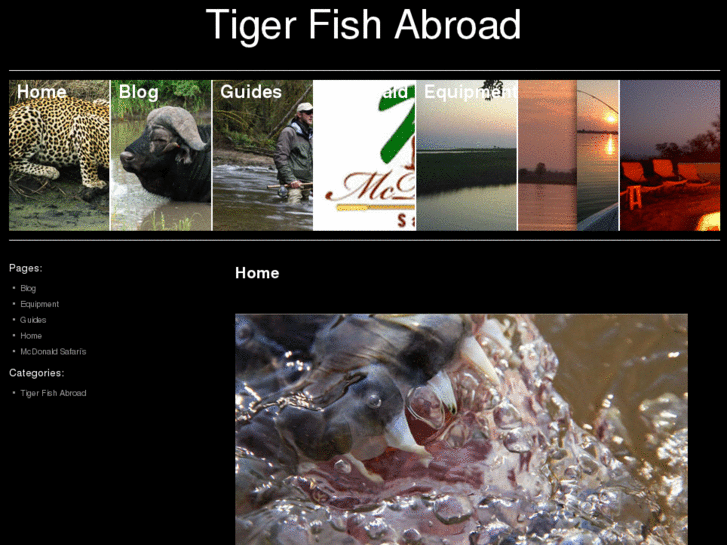 www.tigerfishabroad.com