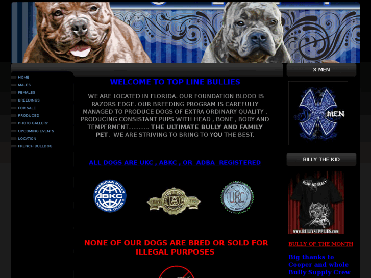 www.toplinebullies.net