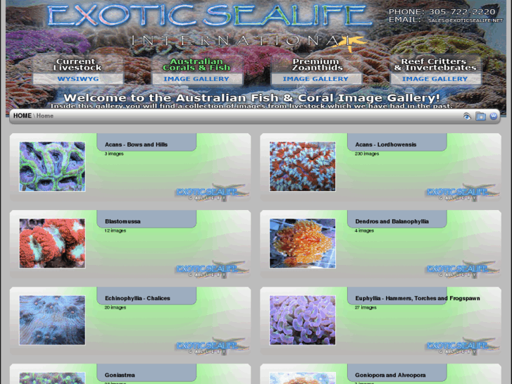 www.aussiecoralsimport.com