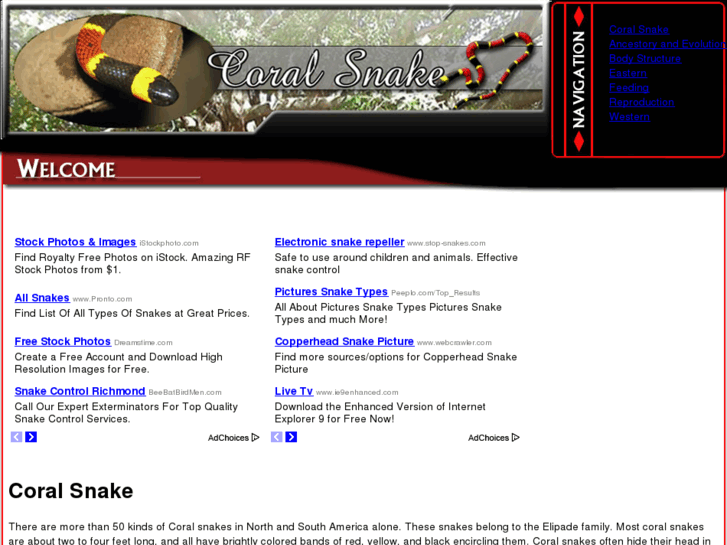 www.coral-snake.com