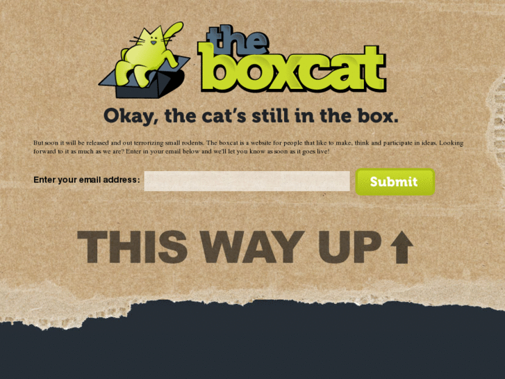 www.theboxcat.com