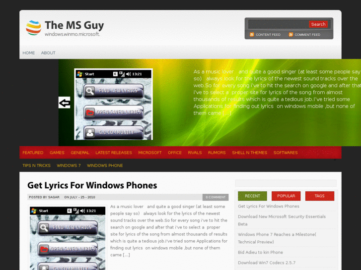 www.themsguy.com