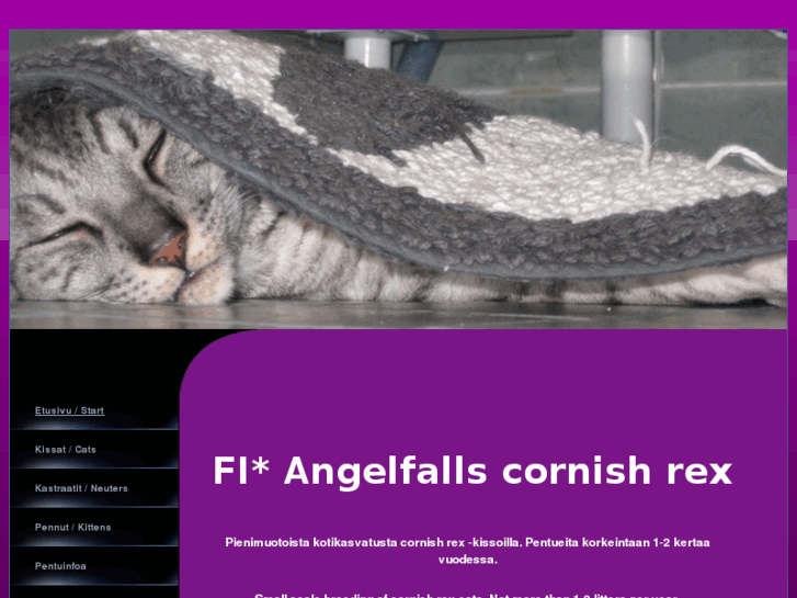 www.angelfalls.fi