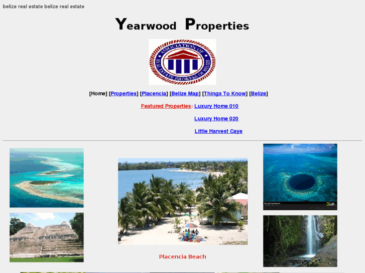 www.belizerealestate.net