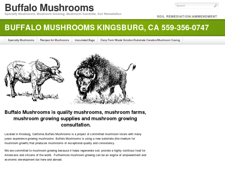 www.buffalomushrooms.com