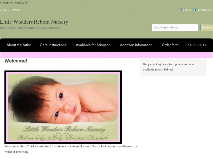 www.littlewondersrebornnursery.com