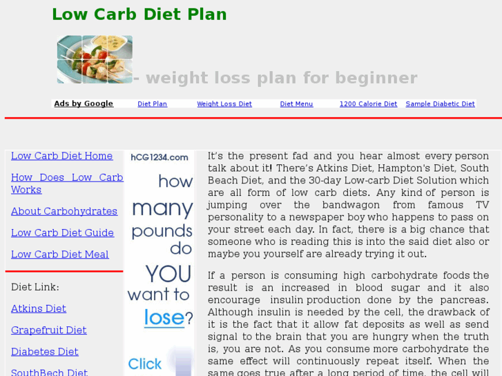 www.lowcarbdietplans.org