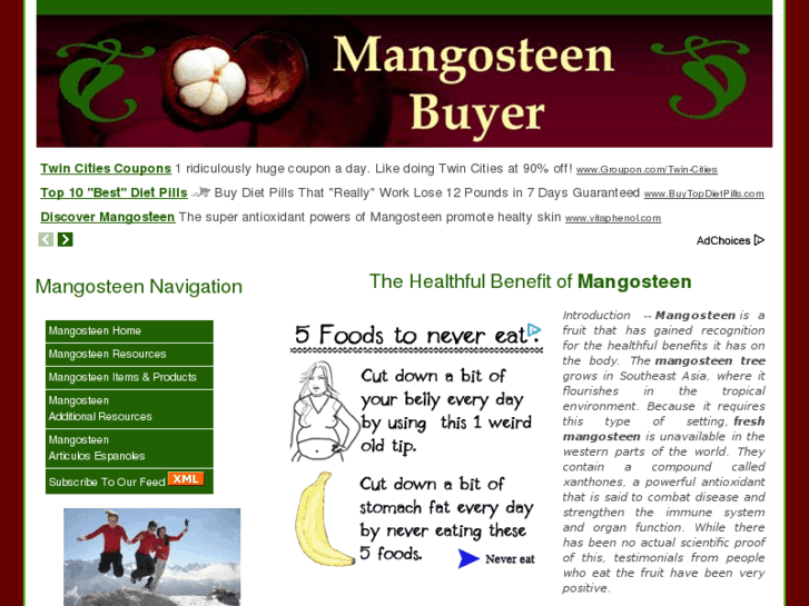 www.mangosteenbuyer.com