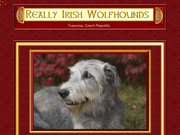 www.reallyirishwolfhounds.com