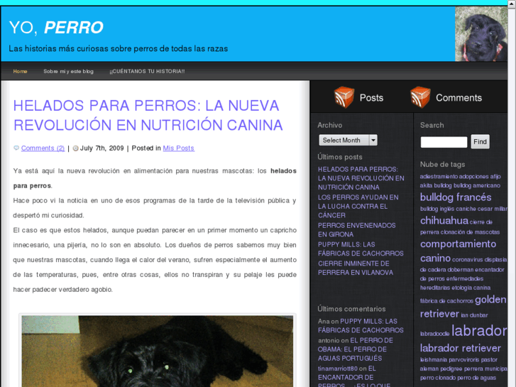 www.yoperro.com