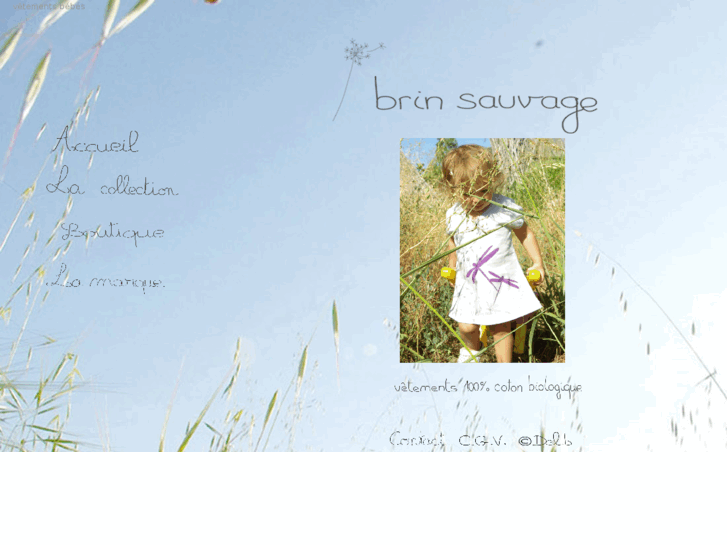 www.brinsauvage.com