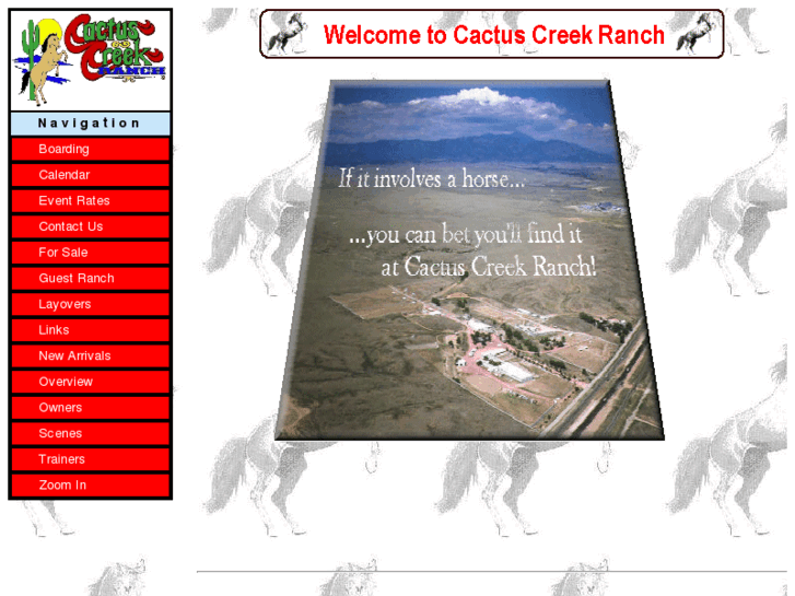 www.cactuscreekusa.com