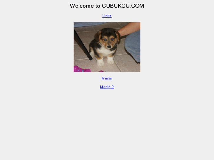 www.cubukcu.net