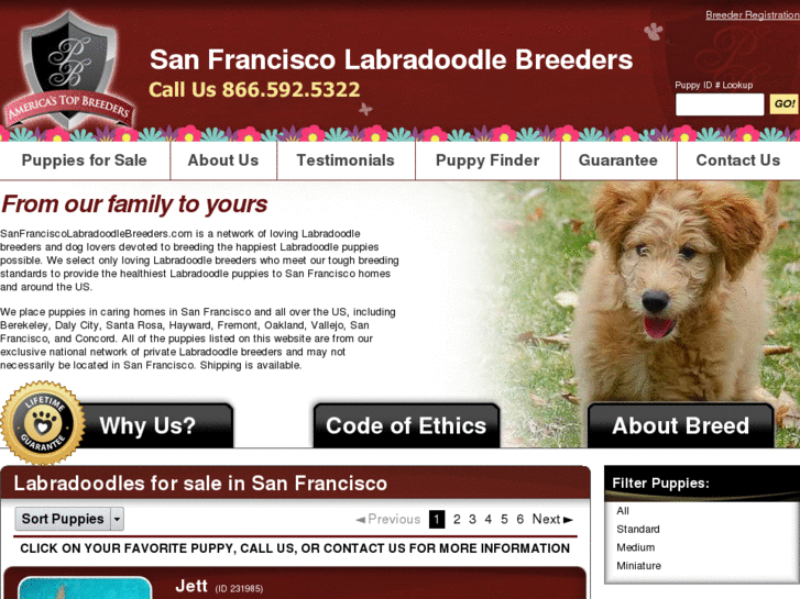 www.sanfranciscolabradoodlebreeders.com