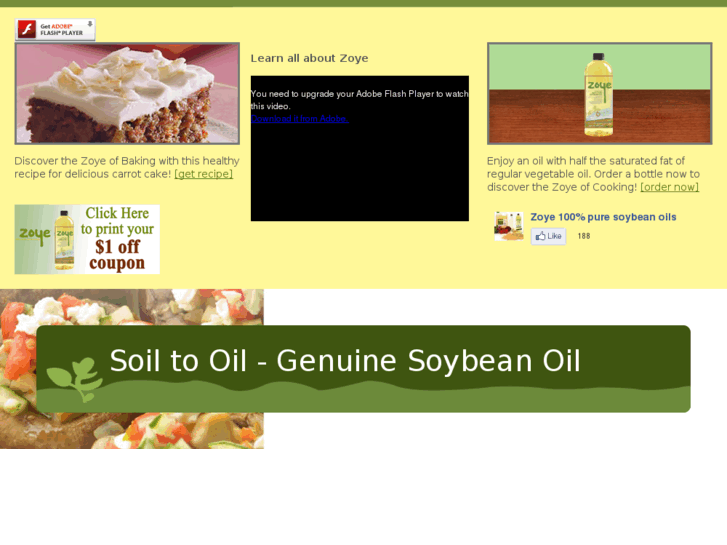 www.zfs-soiltooil.com