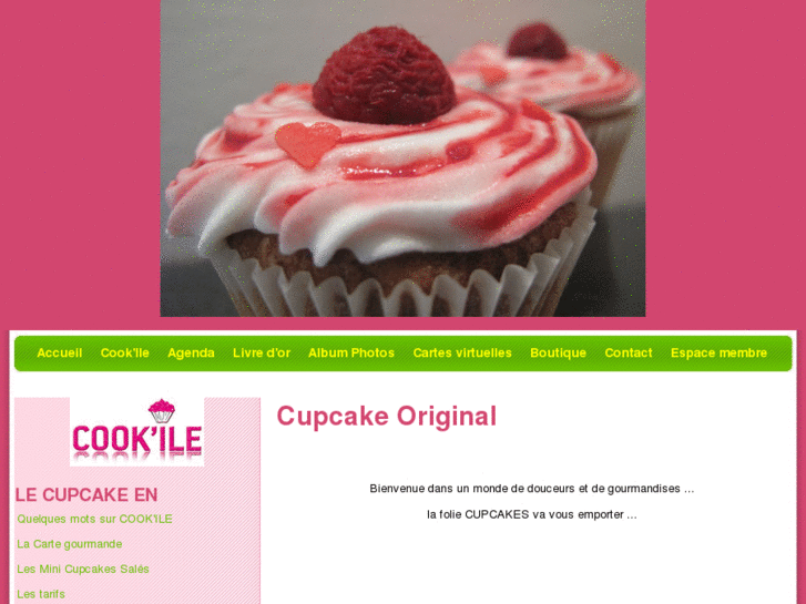 www.cook-ile.com