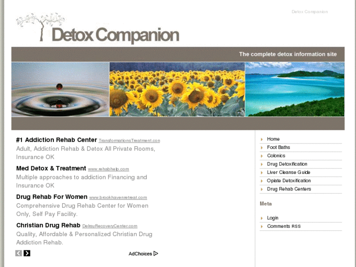 www.detoxcompanion.com