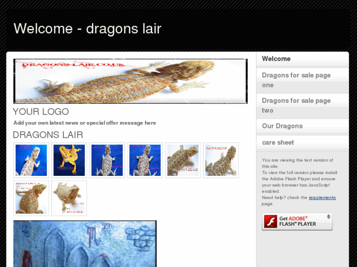 www.dragons-lair.co.uk